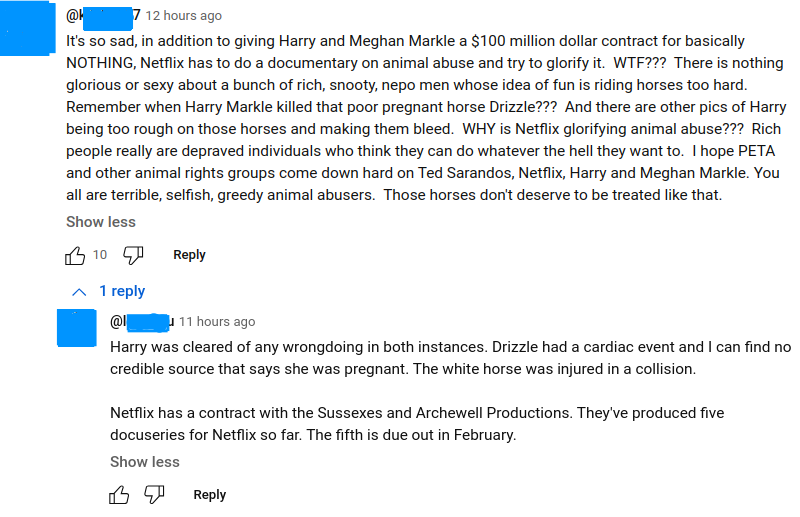 Comment section on the Polo series that was done by Prince Harry and Meghan Markle